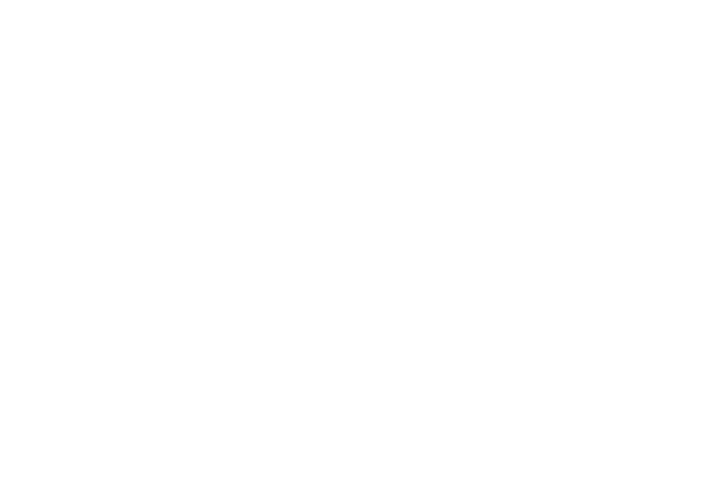 MapSearch